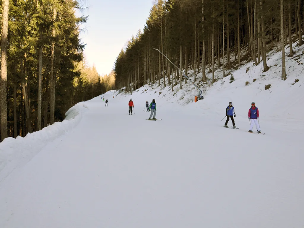 Skifahrende auf der Waldpiste im Abendlicht.